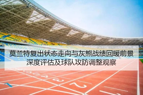 img_1781625576863_257_1_822.jpg